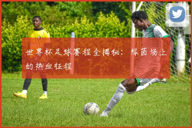 世界杯足球赛程全揭秘：绿茵场上的热血征程