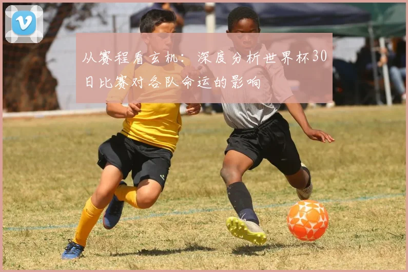 从赛程看玄机：深度分析世界杯30日比赛对各队命运的影响