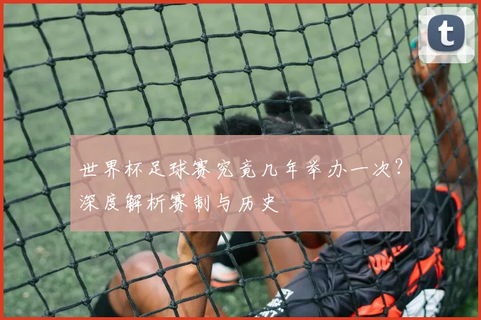 世界杯足球赛究竟几年举办一次？深度解析赛制与历史