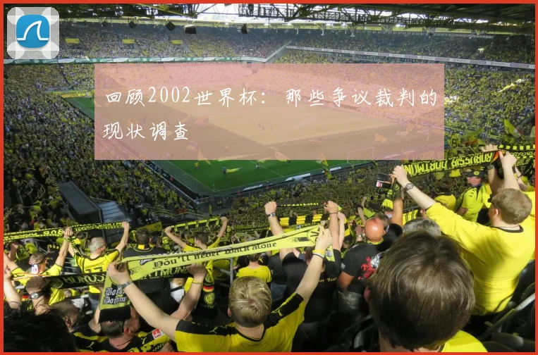 回顾2002世界杯：那些争议裁判的现状调查