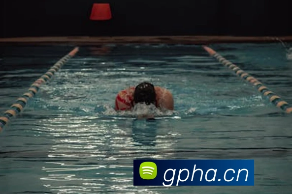 App Interface Preview